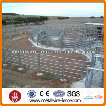 Australia Steel Cheap Cattle Panels For Sale (10 Years History)